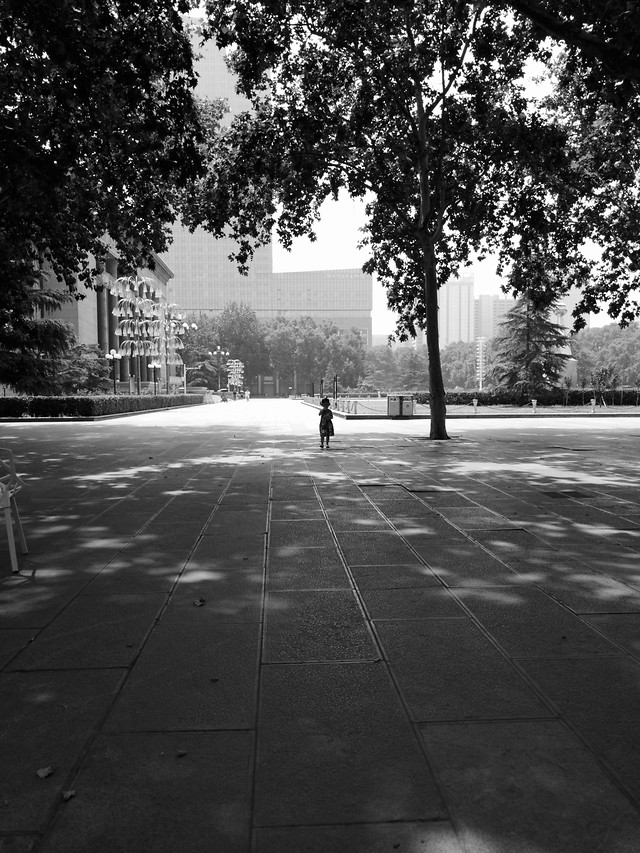street-no-person-monochrome-road-white 图片素材