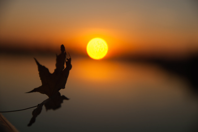 sunset-sun-moon-evening-dawn 图片素材