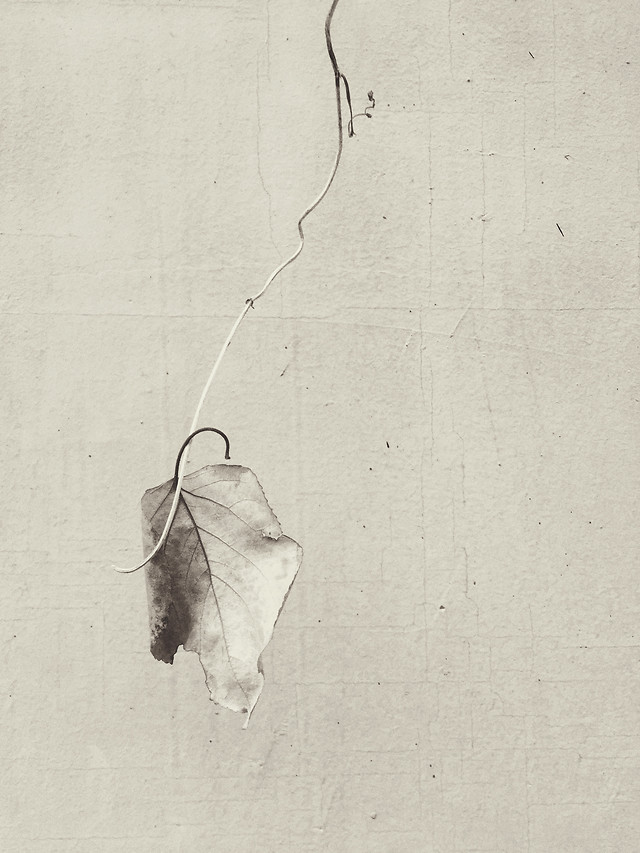 no-person-wear-art-texture-one 图片素材