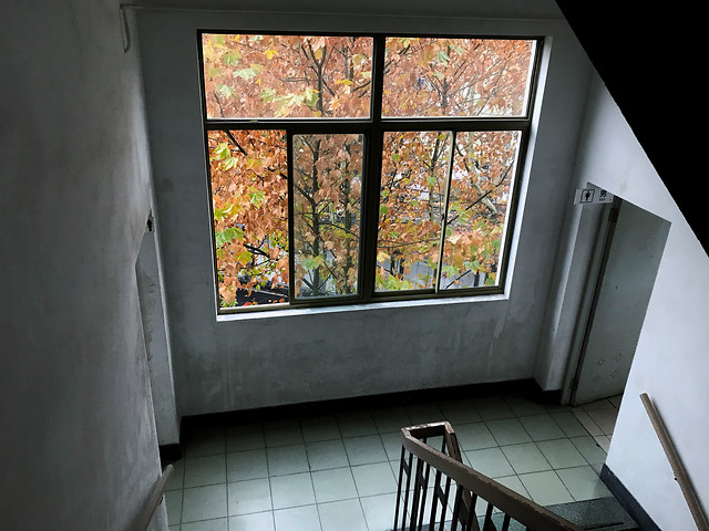 window-indoors-room-house-no-person 图片素材