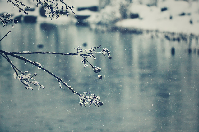 winter-snow-water-nature-frost picture material