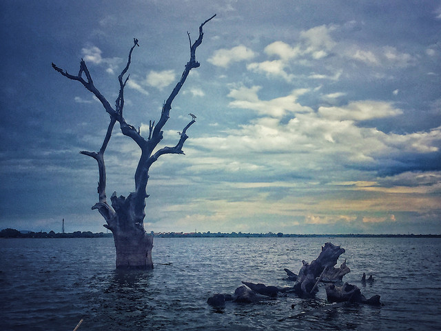 no-person-water-sky-sea-tree 图片素材