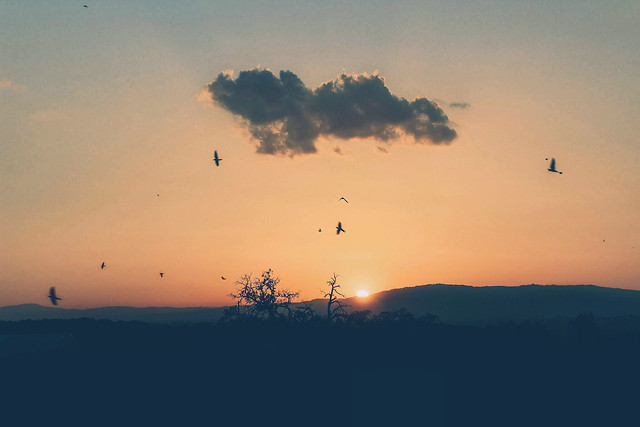 sunset-landscape-dawn-sky-light 图片素材