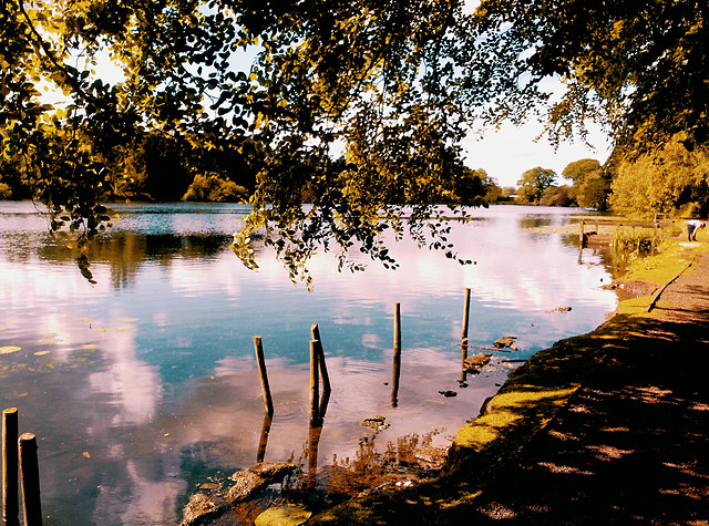 water-fall-lake-tree-reflection 图片素材