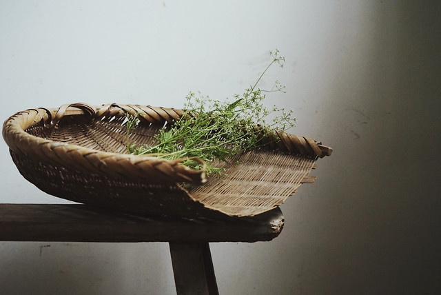 nature-wood-food-still-life-landscape 图片素材