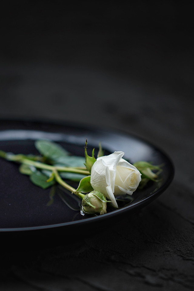 food-still-life-no-person-closeup-vegetable picture material