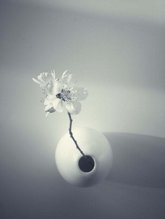 white-still-life-photography-water-black-and-white-monochrome-photography 图片素材