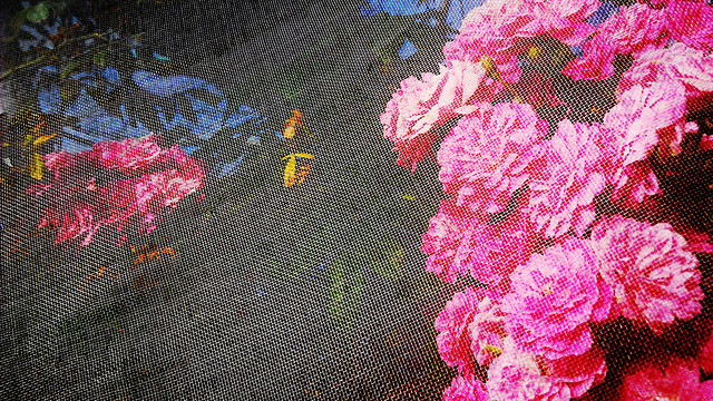 desktop-color-texture-pink-art 图片素材