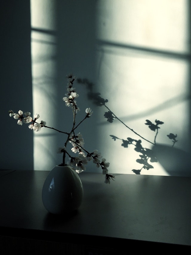 white-still-life-photography-light-black-and-white-shadow picture material