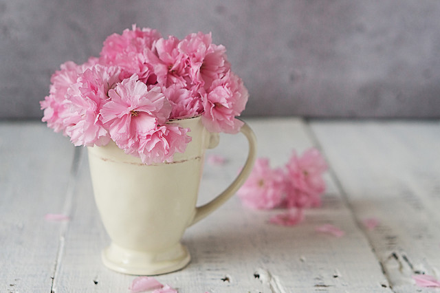 no-person-flower-still-life-pink-love 图片素材