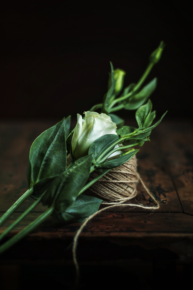 leaf-no-person-food-nature-green picture material