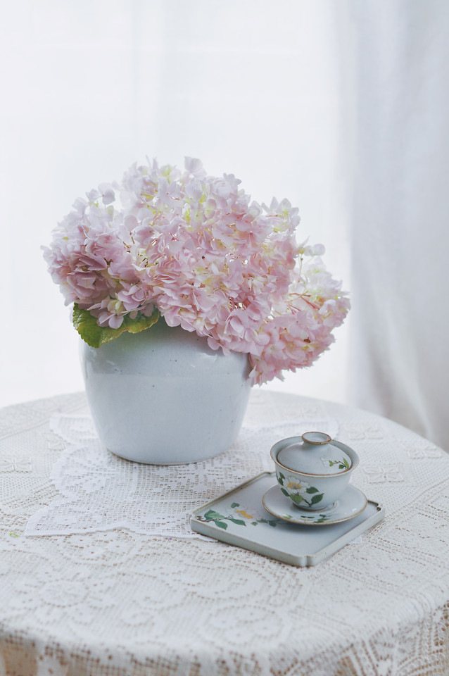 flower-desktop-cup-no-person-pink picture material