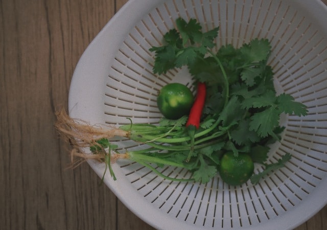 life-food-ingredient-dish-leaf-vegetable 图片素材