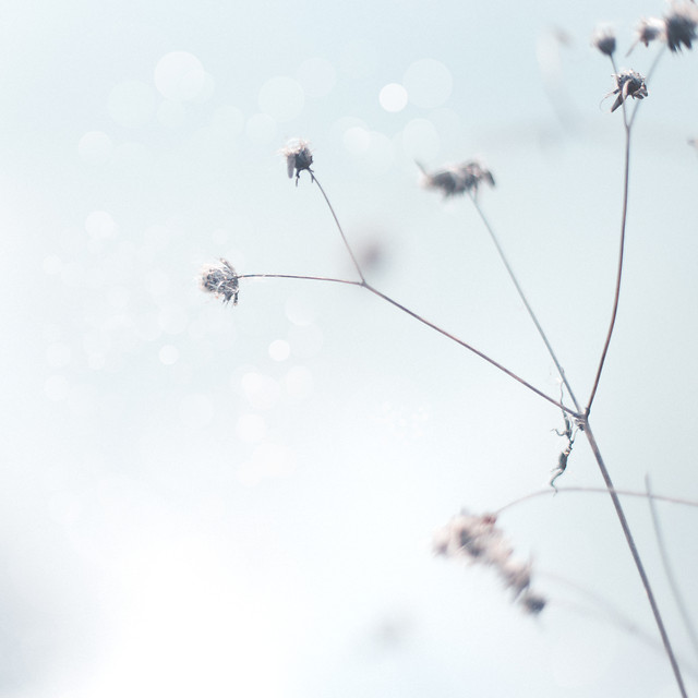 sky-flight-landscape-snow-flying 图片素材