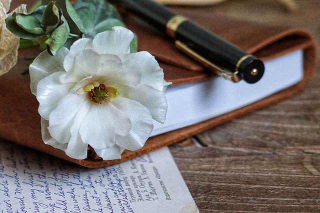 我的生活点滴 picture material