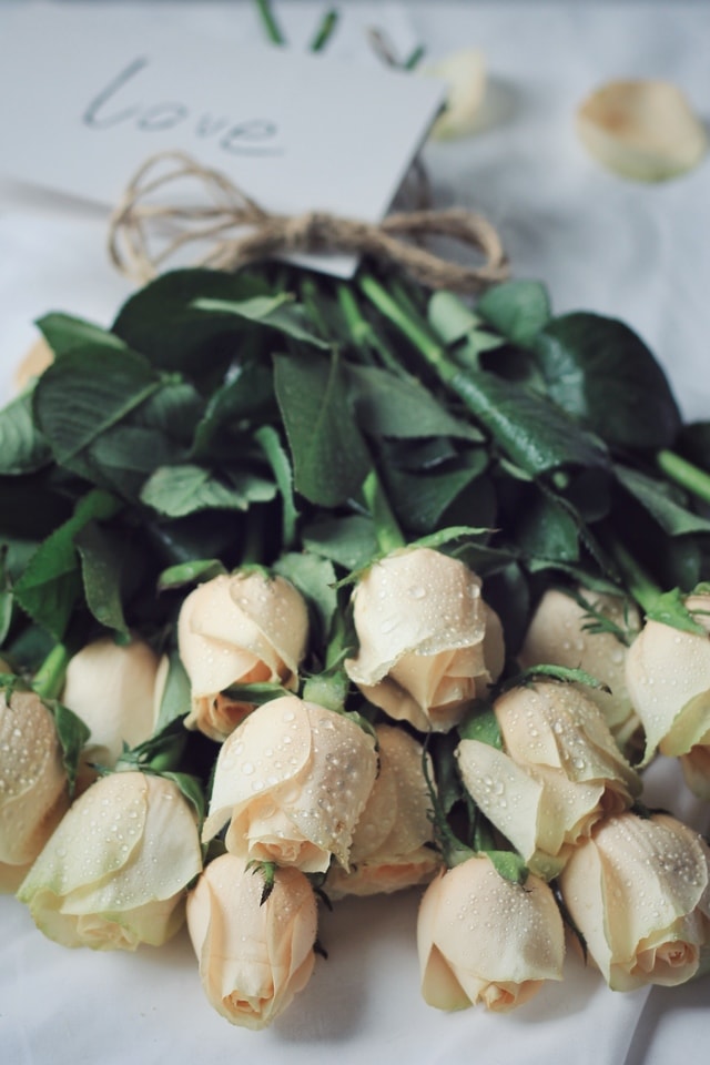champagne-rose-food-ingredient-dish-cuisine picture material