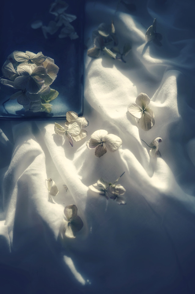 people-blue-art-desktop-underwater picture material