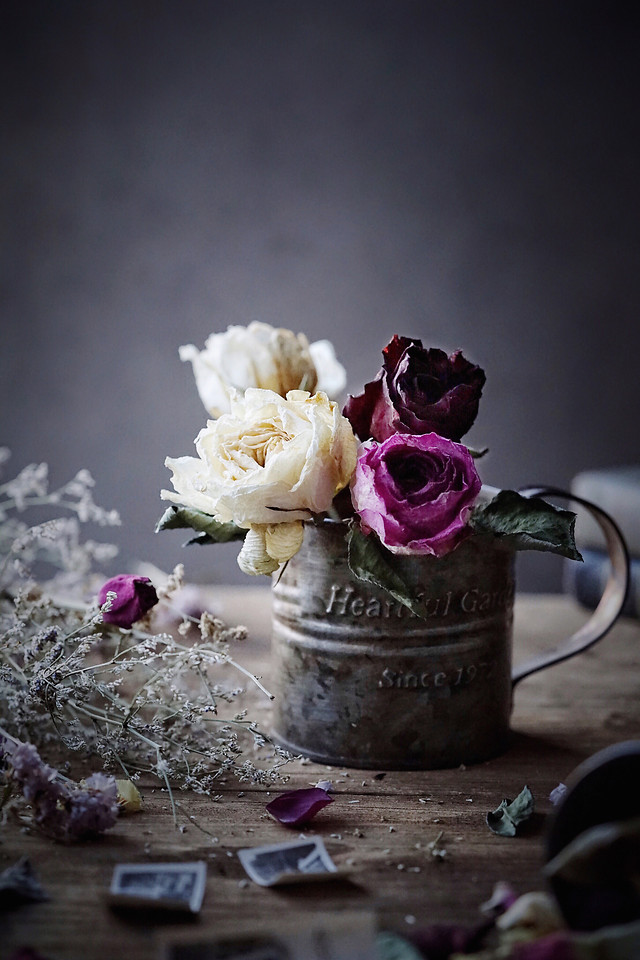 flower-no-person-rose-still-life-wedding 图片素材