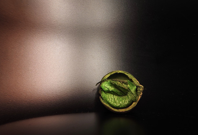 arts-still-life-abstract-green-no-person picture material