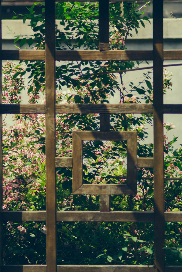 no-person-leaf-nature-window-house 图片素材