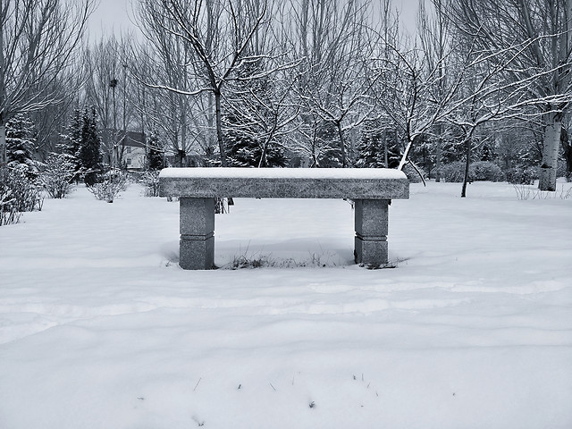 winter-snow-cold-ice-tree 图片素材