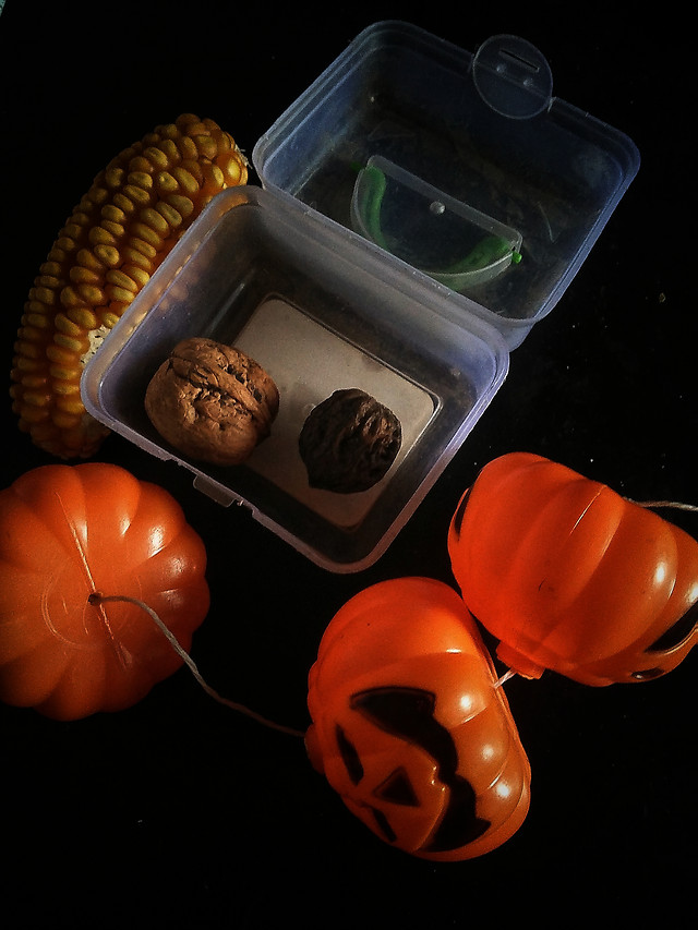 no-person-still-life-food-container-desktop picture material