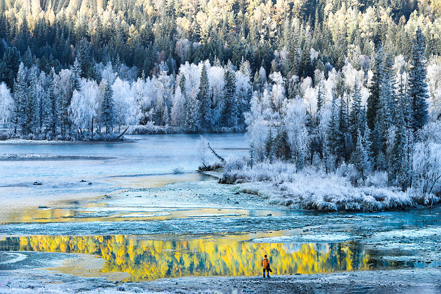 snow-landscape-winter-nature-wood 图片素材
