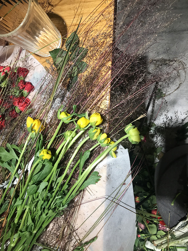 flower-nature-plant-no-person-grass 图片素材
