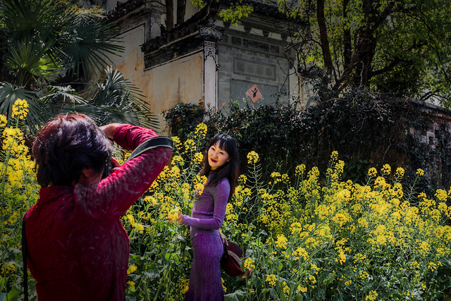 flower-plant-people-nature-outdoors 图片素材
