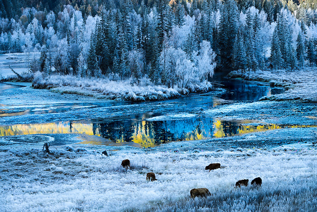 snow-winter-cold-frost-ice 图片素材
