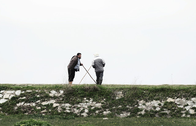 people-landscape-one-man-grass picture material