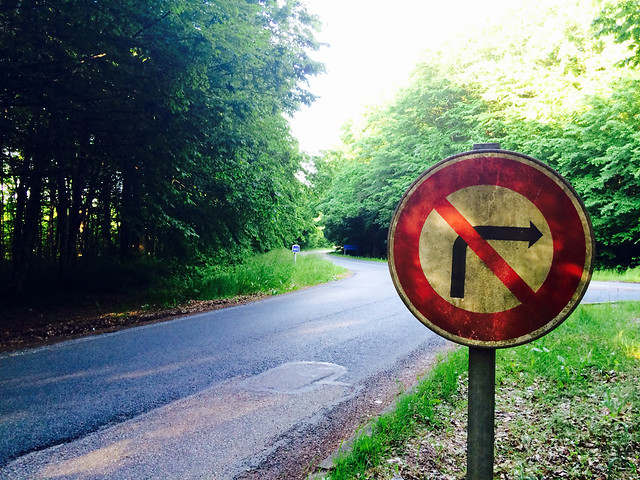 road-no-person-guidance-green-nature picture material