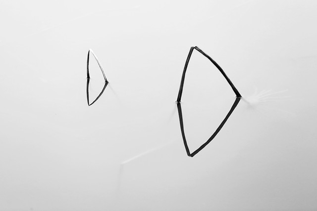 art-shape-monochrome-abstract-illustration 图片素材