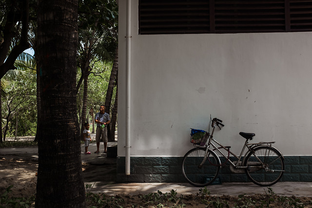 road-tree-wall-street-house 图片素材