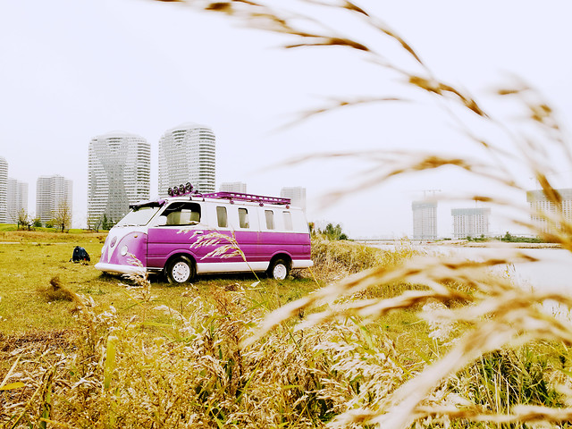 grass-car-nature-rural-field 图片素材
