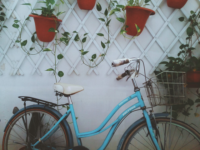 no-person-wheel-seat-indoors-bicycle picture material