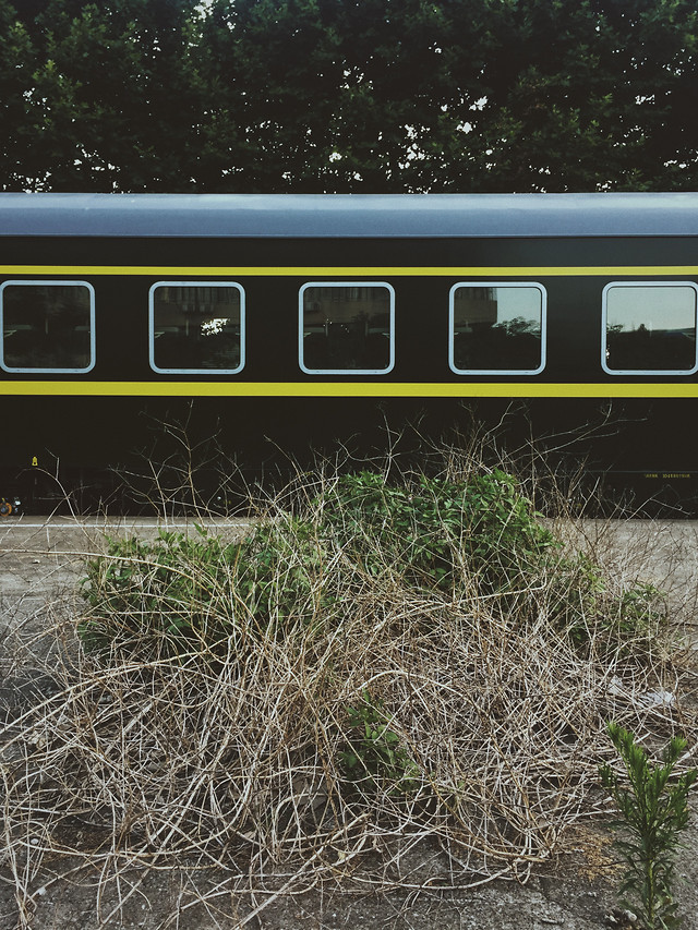 track-nature-landscape-grass-no-person 图片素材