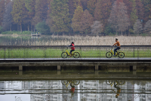 water-lake-river-reflection-outdoors 图片素材