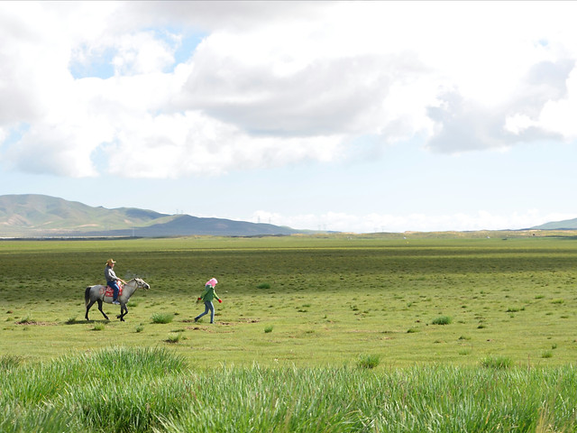 landscape-grassland-sky-field-grass 图片素材