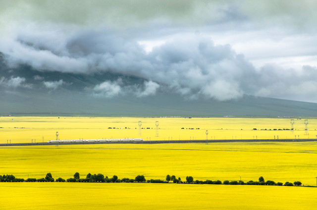 landscape-nature-field-farm-agriculture 图片素材