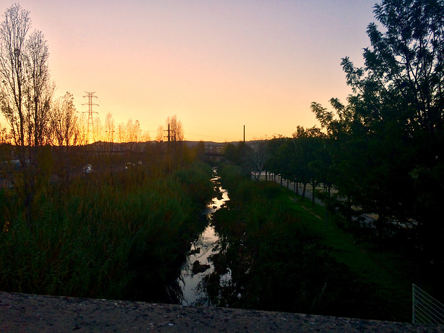 landscape-tree-no-person-water-reflection picture material