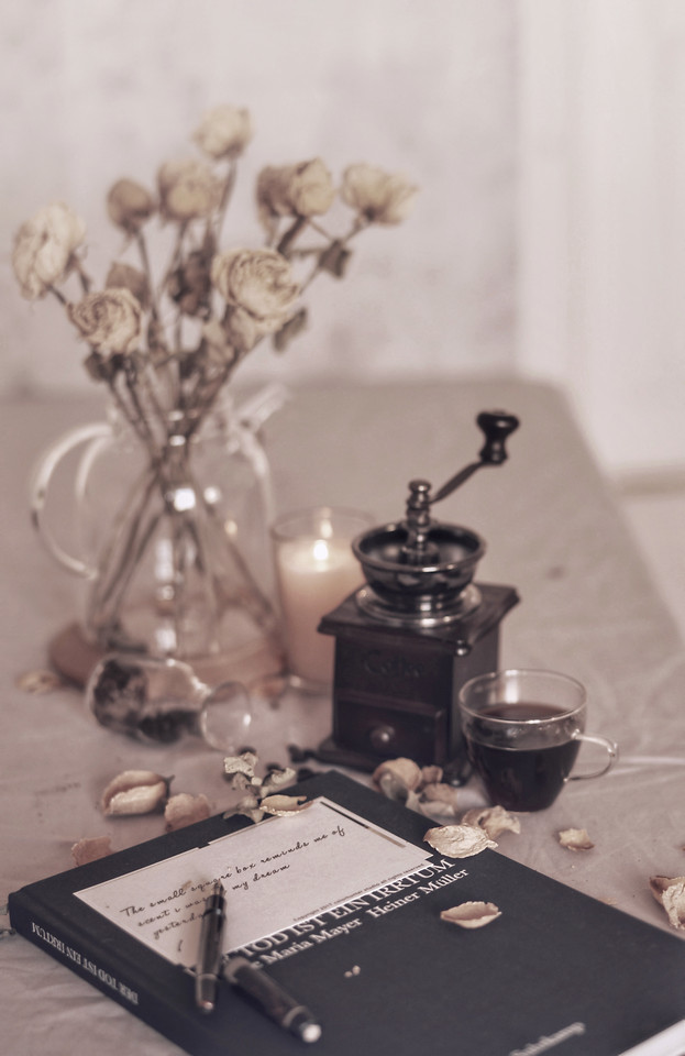 no-person-still-life-sepia-indoors-retro 图片素材