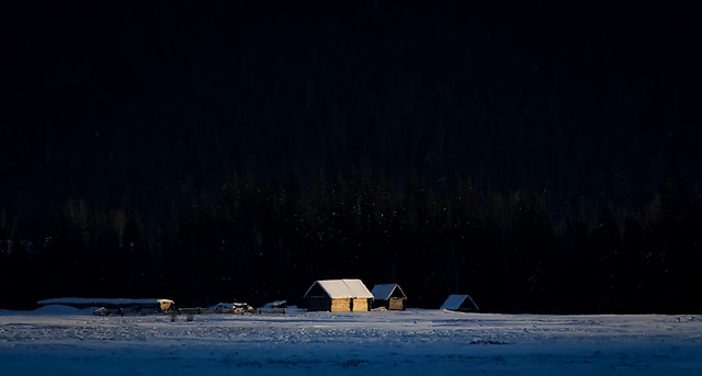 snow-winter-cold-landscape-moon 图片素材