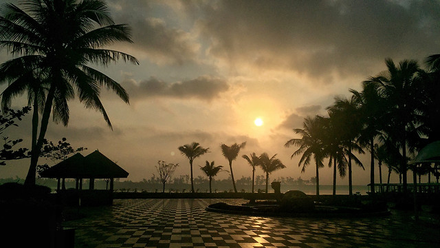 beach-palm-sun-tropical-sunset 图片素材