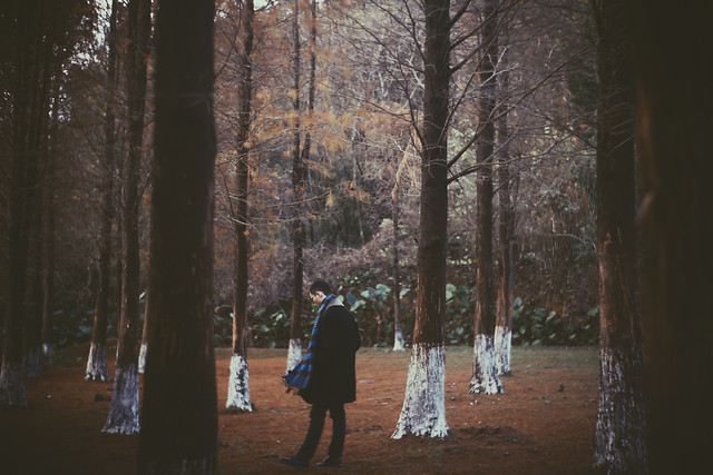 tree-people-winter-landscape-fall picture material