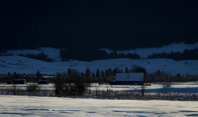 snow-winter-cold-ice-landscape 图片素材