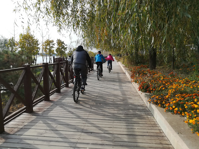 road-park-guidance-wood-road-bicycle 图片素材