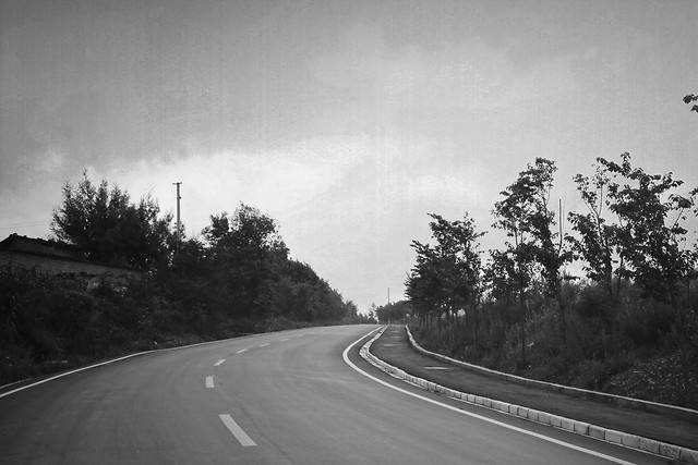 road-transportation-system-tree-street-landscape 图片素材