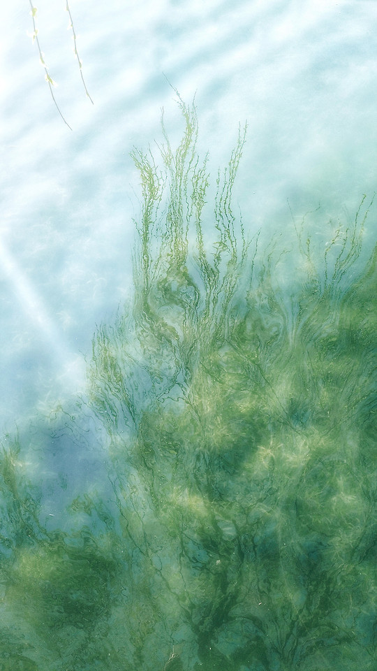 春水荡漾 图片素材