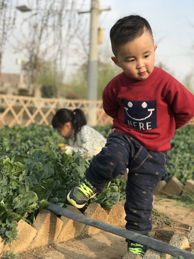 child-boy-outdoors-people-one picture material